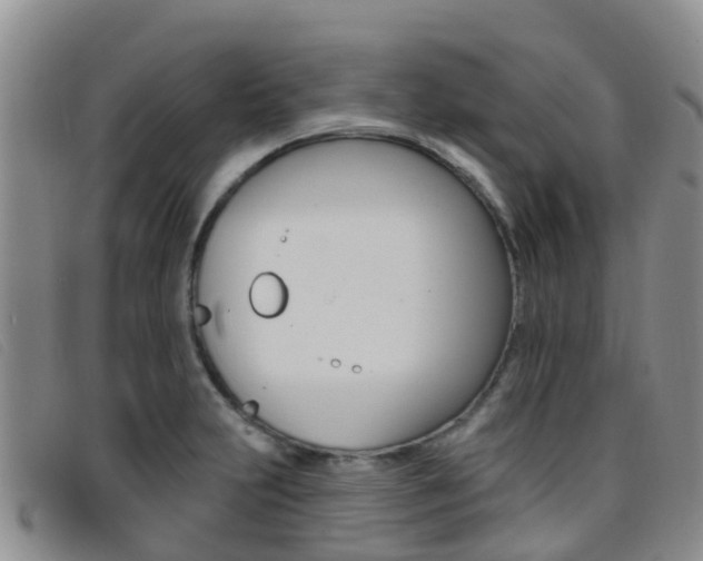 X0000096721231200802051053