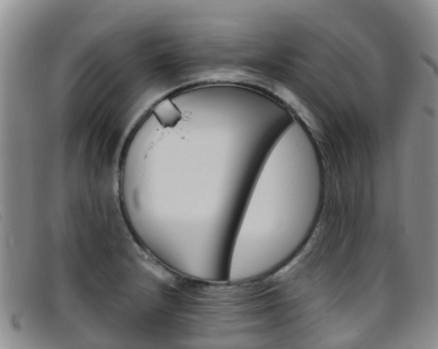 X0000096721232200802051053