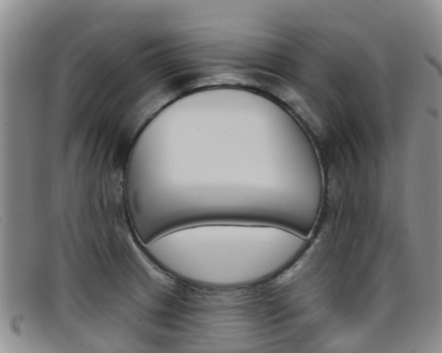 X0000096721233200802051053