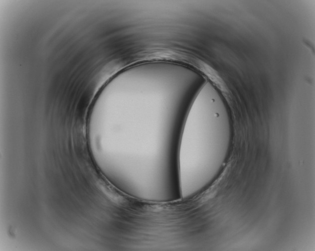 X0000096721234200802051053