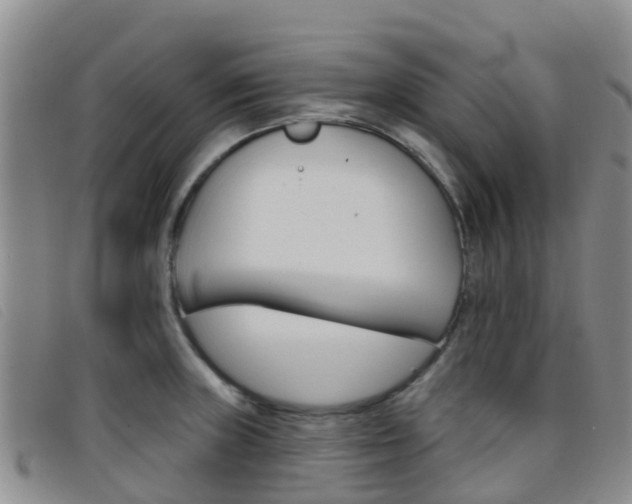 X0000096721235200802051053