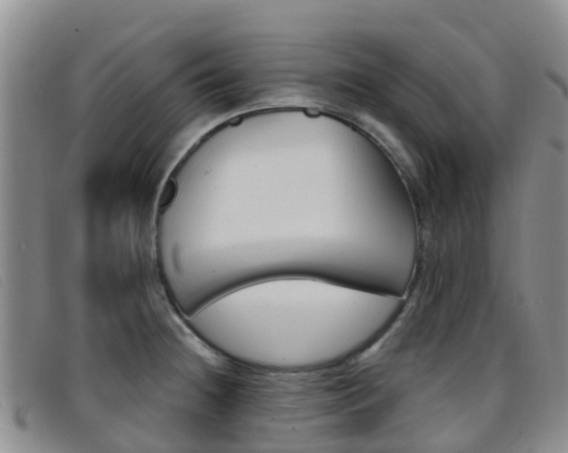 X0000096721236200802051053