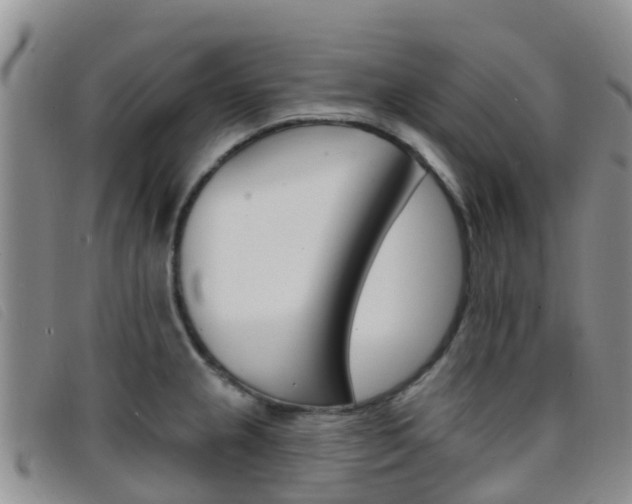 X0000096721237200802051053