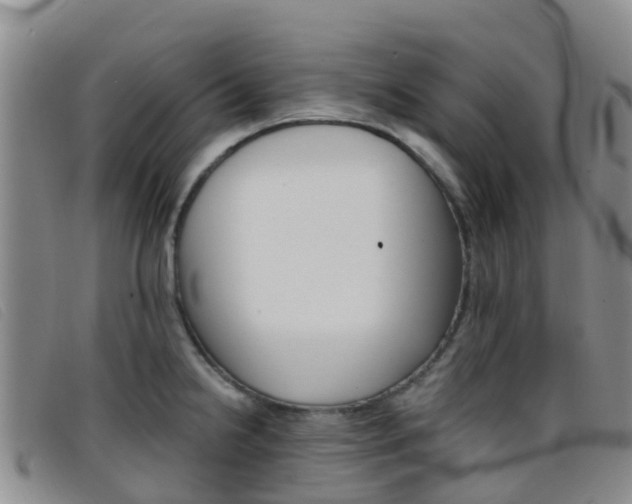 X0000096721238200802051053