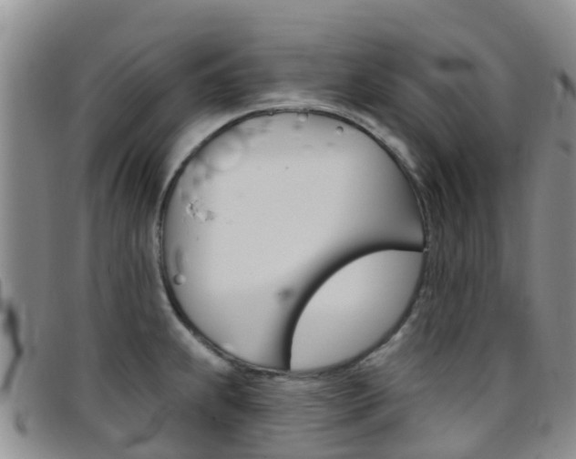 X0000096721239200802051053
