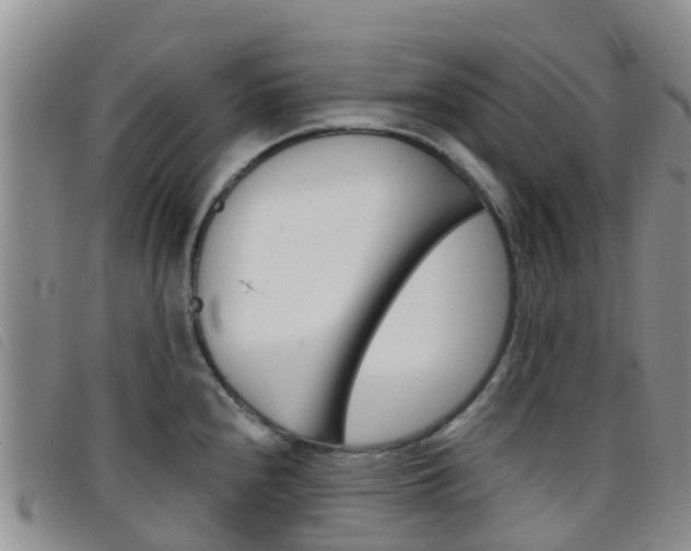 X0000096721240200802051053