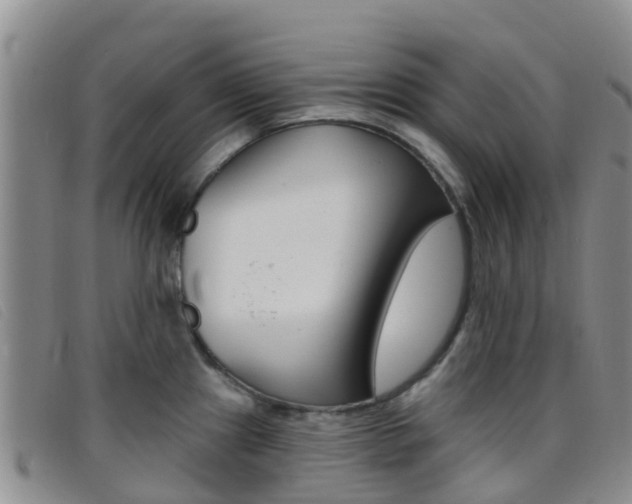 X0000096721241200802051053