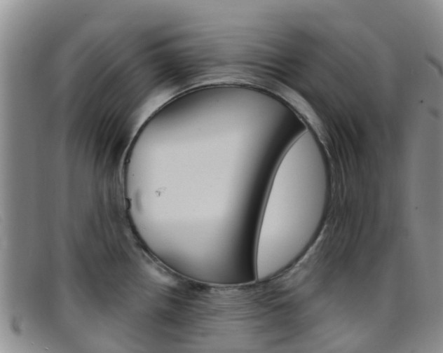 X0000096721242200802051053