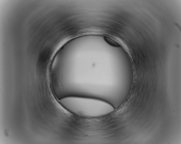 X0000096721243200802051053