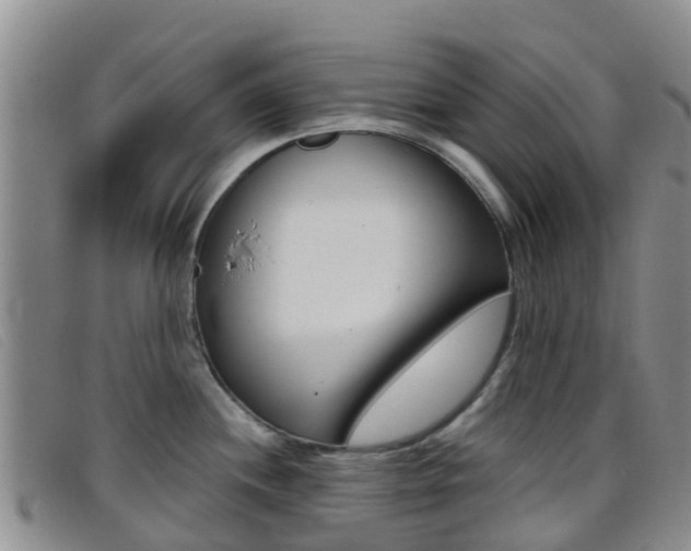 X0000096721244200802051053
