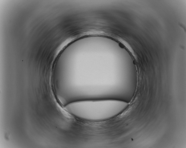 X0000096721245200802051053