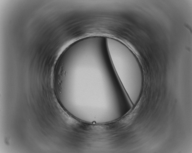 X0000096721246200802051053