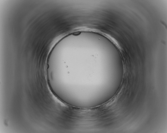 X0000096721247200802051053
