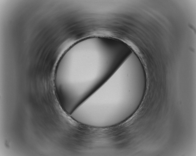 X0000096721248200802051053
