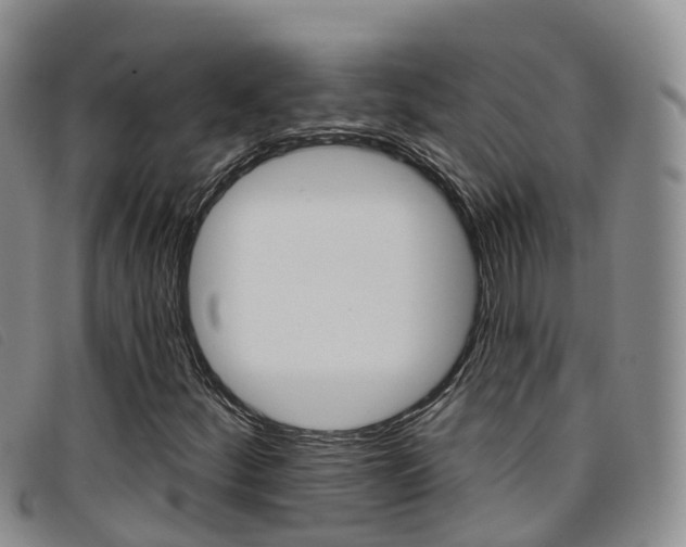 X0000096721252200802051052