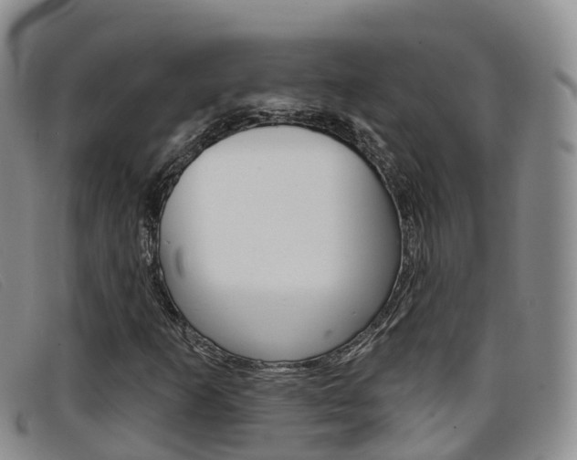 X0000096721253200802051052