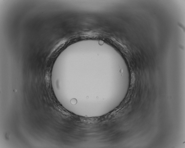 X0000096721254200802051052