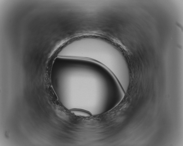 X0000096721256200802051052