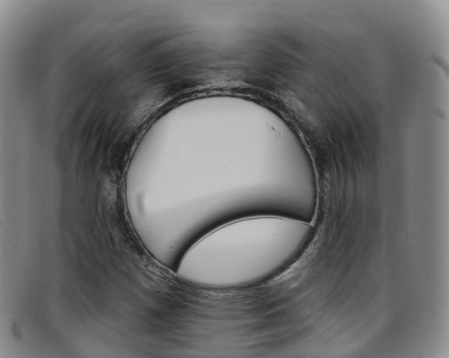 X0000096721257200802051052