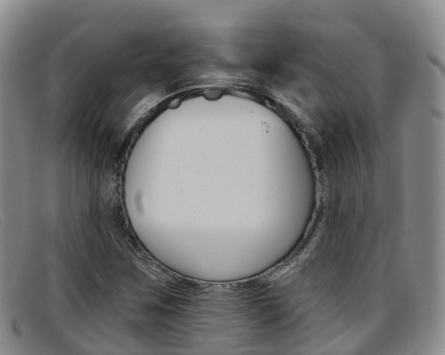 X0000096721259200802051052