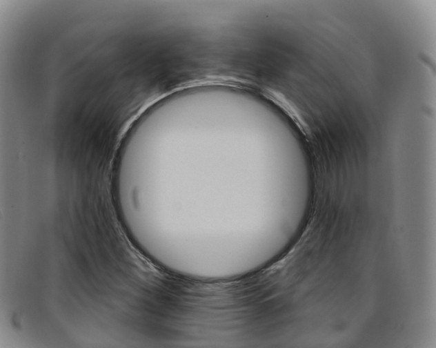 X0000096721260200802051052