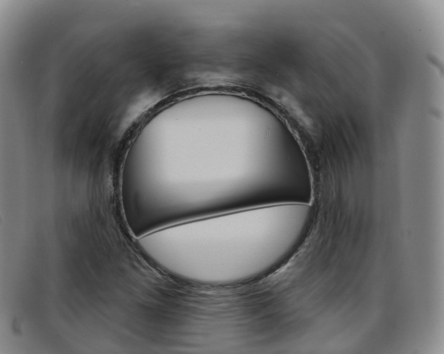 X0000096721261200802051052