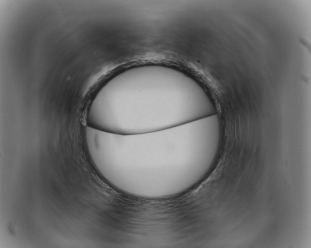 X0000096721262200802051052