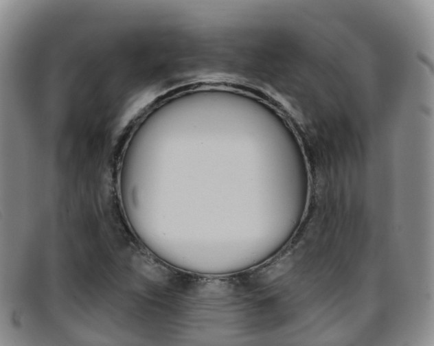 X0000096721263200802051052
