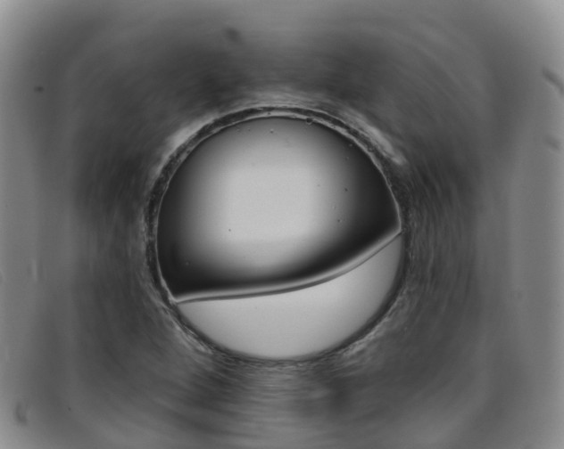 X0000096721264200802051052