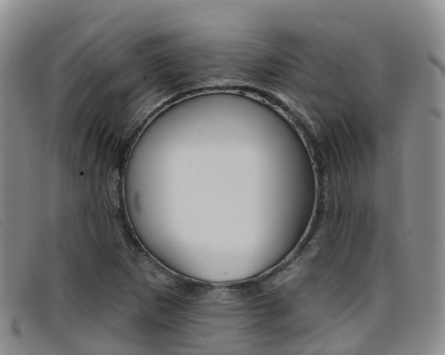 X0000096721265200802051052