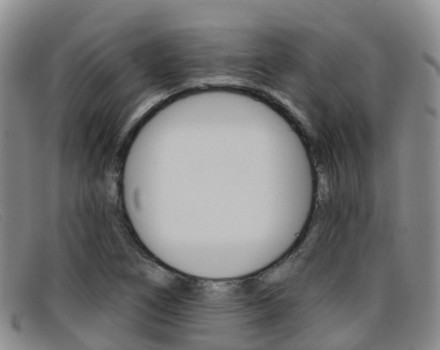 X0000096721266200802051052