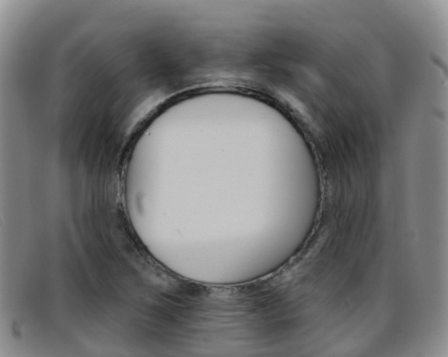 X0000096721267200802051052