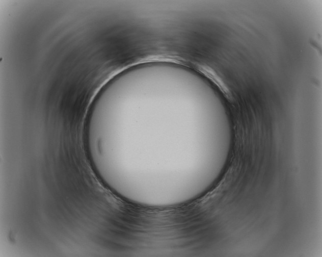 X0000096721268200802051052