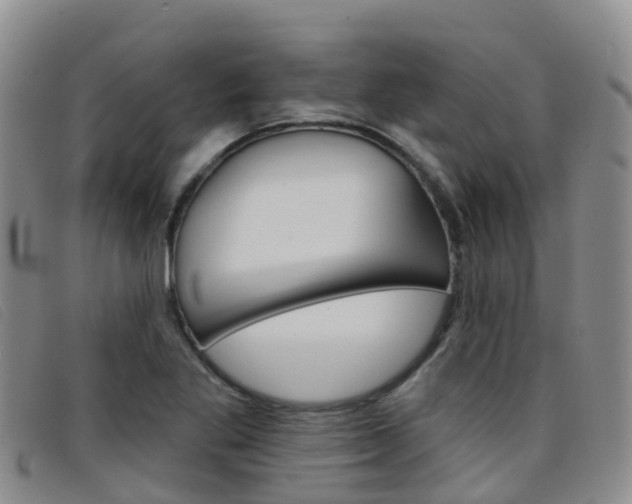 X0000096721269200802051052