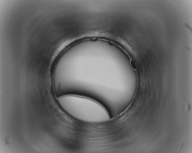 X0000096721270200802051052