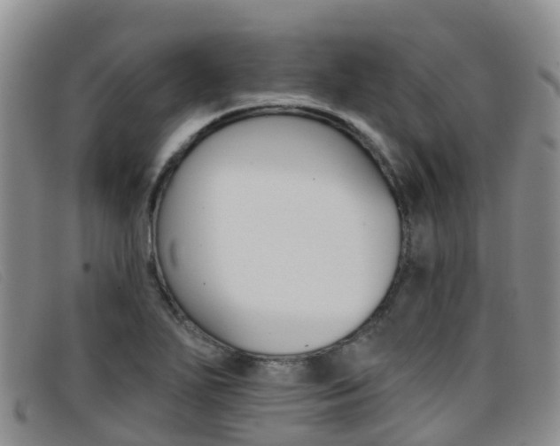 X0000096721271200802051052