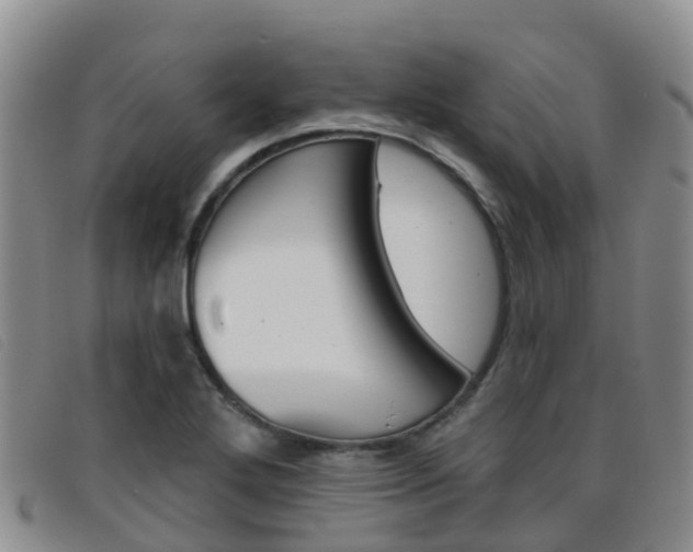 X0000096721272200802051052