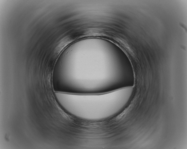 X0000096721273200802051052