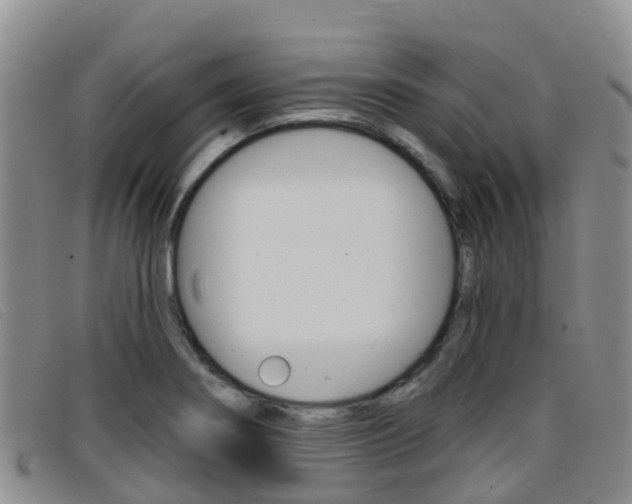 X0000096721274200802051052