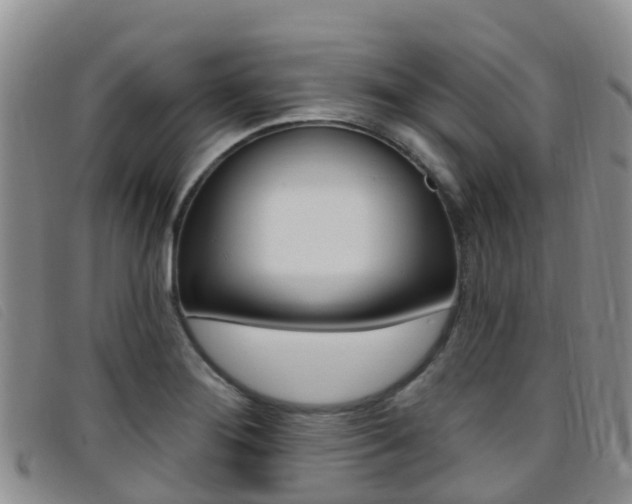 X0000096721276200802051052