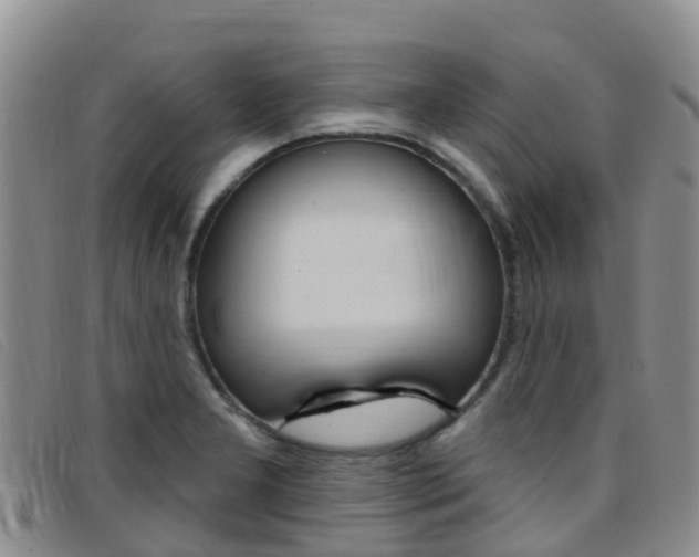X0000096721277200802051052