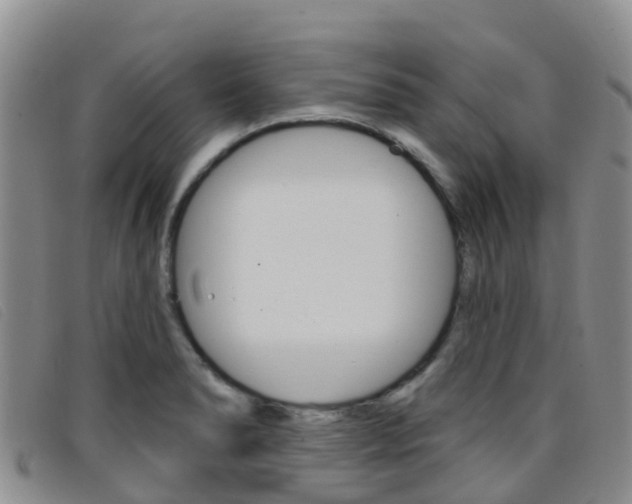 X0000096721278200802051052