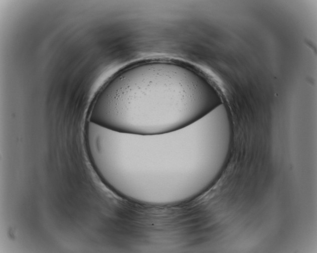 X0000096721279200802051052