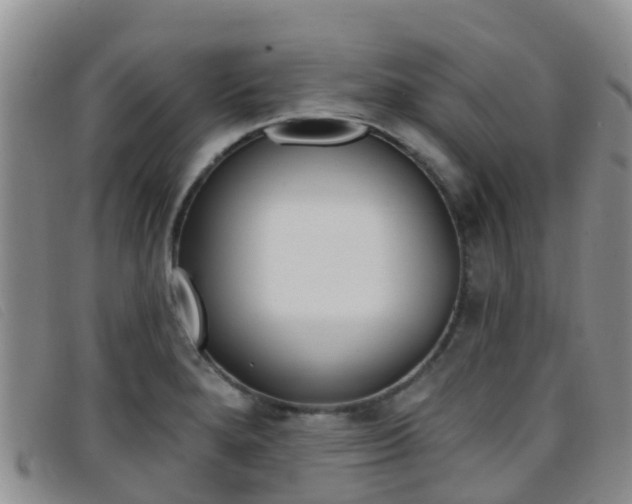 X0000096721280200802051052