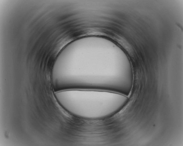 X0000096721281200802051052