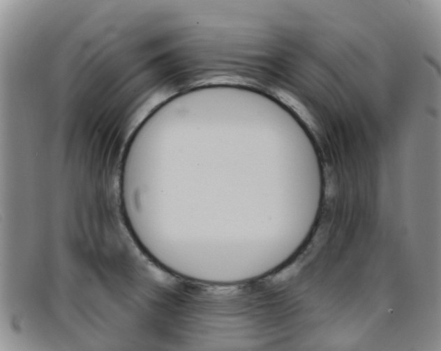 X0000096721282200802051052