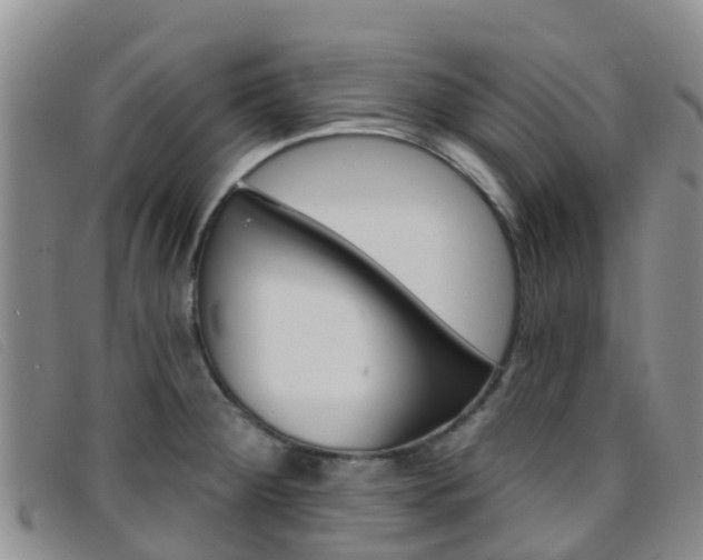 X0000096721284200802051052