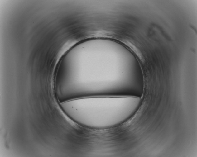 X0000096721285200802051052