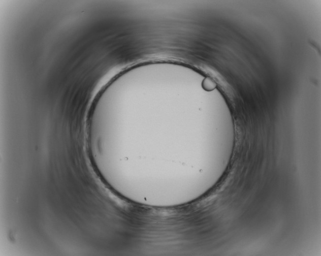 X0000096721286200802051052