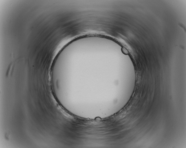 X0000096721287200802051052